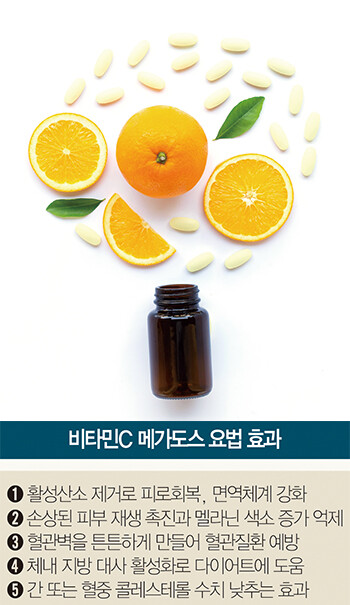 비타민C 메가도스 효능 비타민C 메가도스 효능