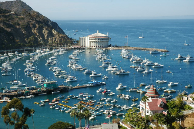 avalon-catalina.jpg