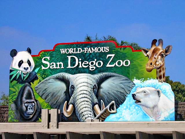 sandiegozoo0256.jpg