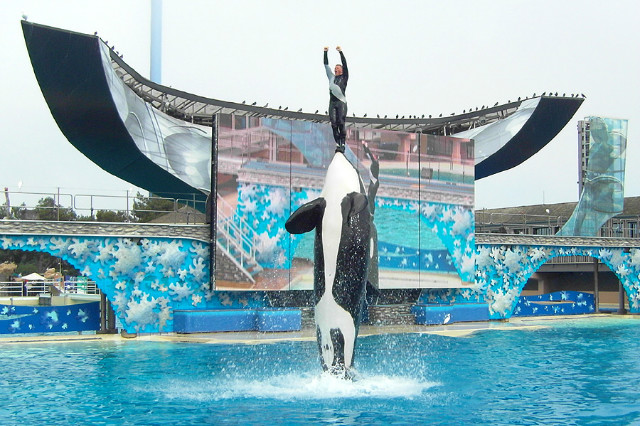 seaworld_117.jpg